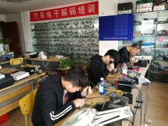 快用力操呀求求你了